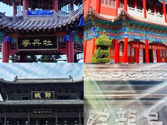 -曹州牡丹园