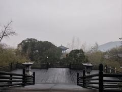 -大唐贡茶院