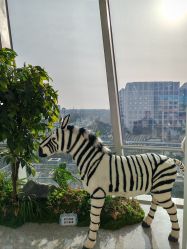 -IMON·HANSA潮玩玩偶毛绒玩具(通州万象汇店)