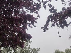 -元大都城垣遗址公园