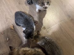 -随园花园餐厅(新港中路店)