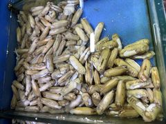 -张树军海鲜(王府壹号店)