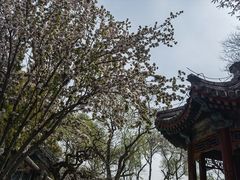 -恭王府博物馆