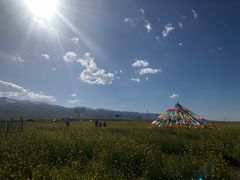 -青海湖国家重点风景名胜区