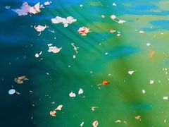 -天津东丽湖风景区