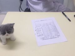 -全心全意连锁动物医院(加州店)
