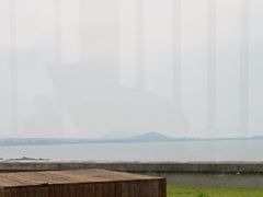 -涉地可支