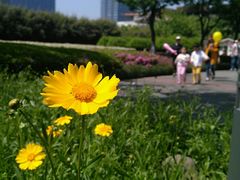 -白塘生态植物园