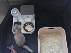 -乖乖宠物医院·猫科·骨科·24小时(云岗分院)