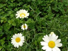 -桤木河湿地公园