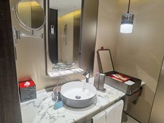 -新加坡瑞士史丹福酒店