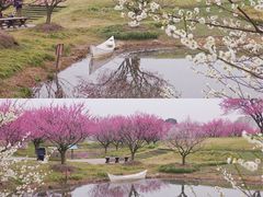 -花开海上生态园