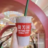 💥惊喜新品来袭！