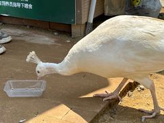 -杭州野生动物世界