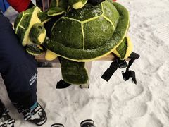 -长沙湘江冰雪世界