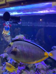 -Zoolung Zoolung动物主题公园(海信广场店)