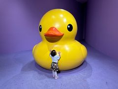 -上海宝龙美术馆