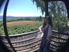 -富田农场