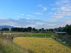 -光明小镇欢乐田园