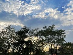 -盘龙城国家考古遗址公园