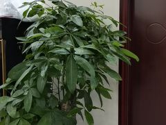 -张钰强中医正骨推拿连锁(唐家人才公寓店)
