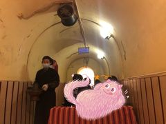 -洞庭洲·防空洞火锅·烧烤·铜锅涮肉(新百广场店)