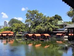 -侨美·唐荔园·40年地道粤菜