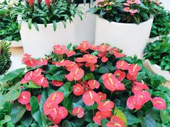 -光启城时尚购物中心