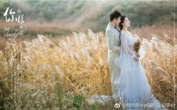 点击看大图 -维纳斯婚纱摄影(鞍山店)