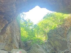 -大连天门山国家森林公园