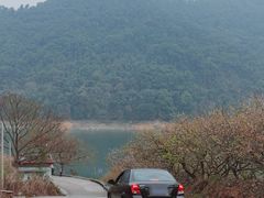 -广州市流溪河国家森林公园