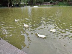 -西安市长乐公园
