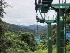 -野象谷景区