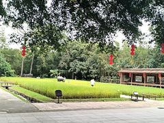 -东澳岛