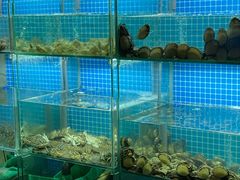 水产区-白仁仔· 活烤海鲜 宵夜(豫园店)