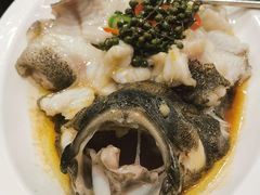 青花椒蒸龙胆鱼-闽和南(深圳万象城店)