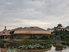 -白洋淀景区