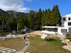 -玉苍山国家森林公园