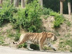 -大连森林动物园