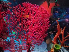 -沈阳海洋探索中心