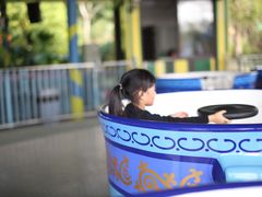 -美的鹭湖探索王国