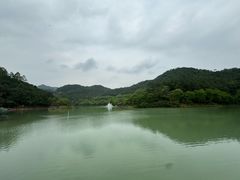 -广州白江湖森林公园