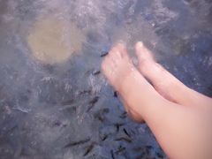 -水晶之星洗浴温泉汗蒸