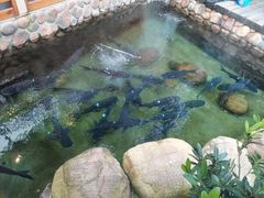 -耕渔小院·湖南鱼鲜(望城店)