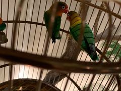 -小厨娘淮扬菜(六合欢乐港店)