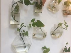 -威克特披萨汉堡