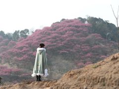 -新建村梅花