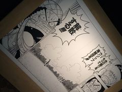 -东京塔海贼王主题公园
