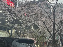 -麦当劳(未来城购物中心店)