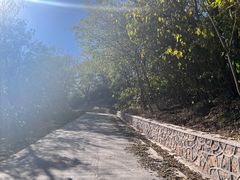 -北京西山国家森林公园